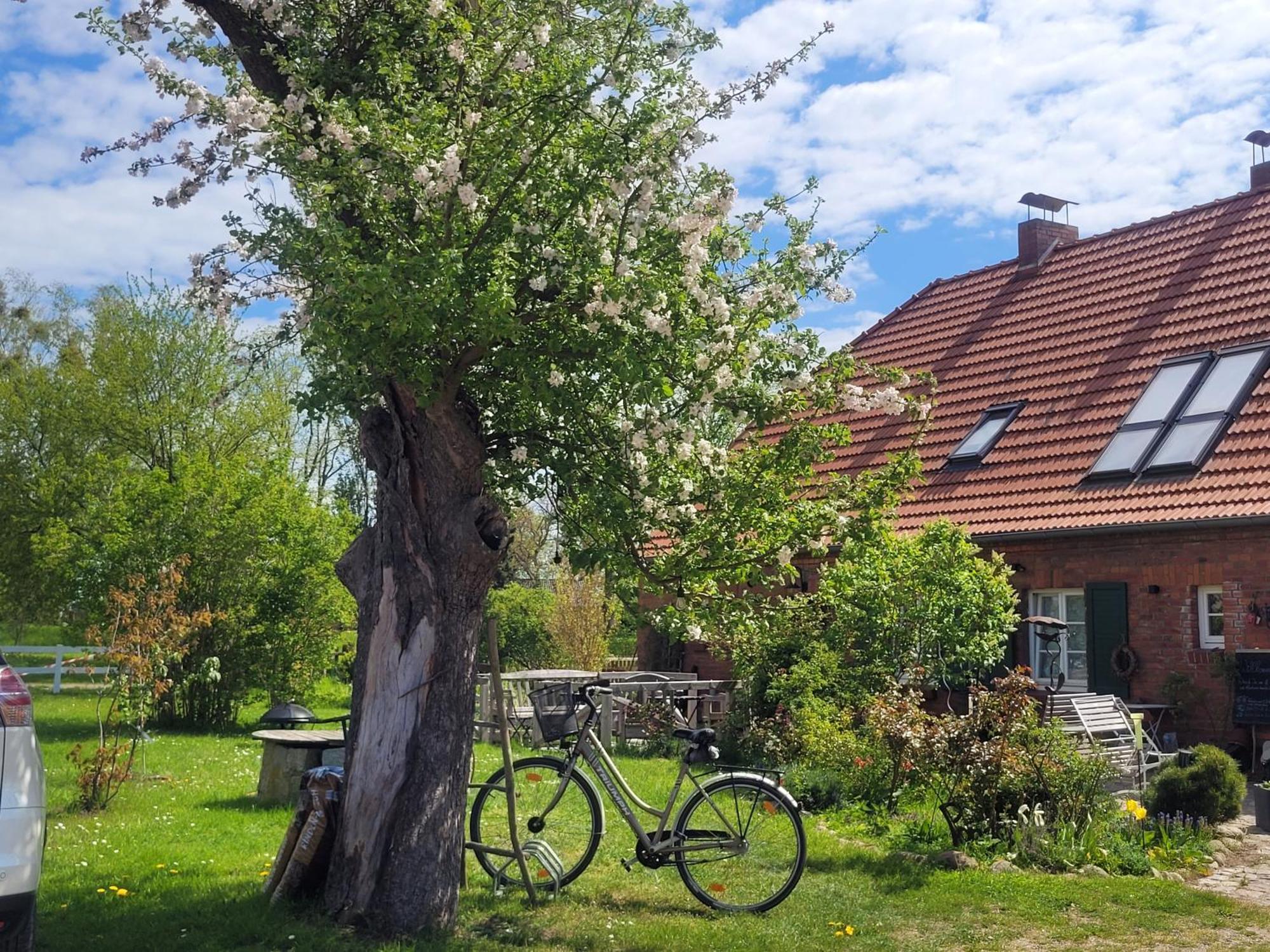 Seminar Und Landhaus Schoenbeck Schonbeck  Buitenkant foto