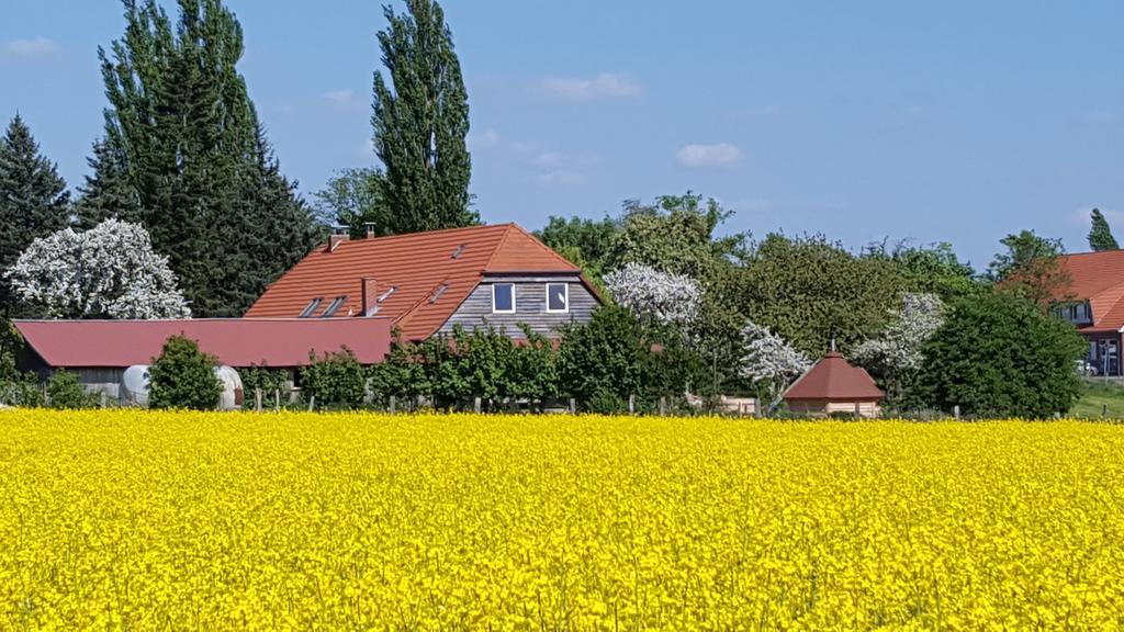 Seminar Und Landhaus Schoenbeck Schonbeck  Buitenkant foto